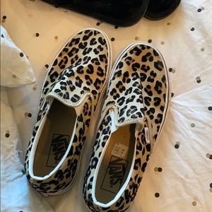 Cheetah vans